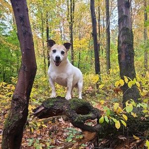 Meet your Posher, Nellie